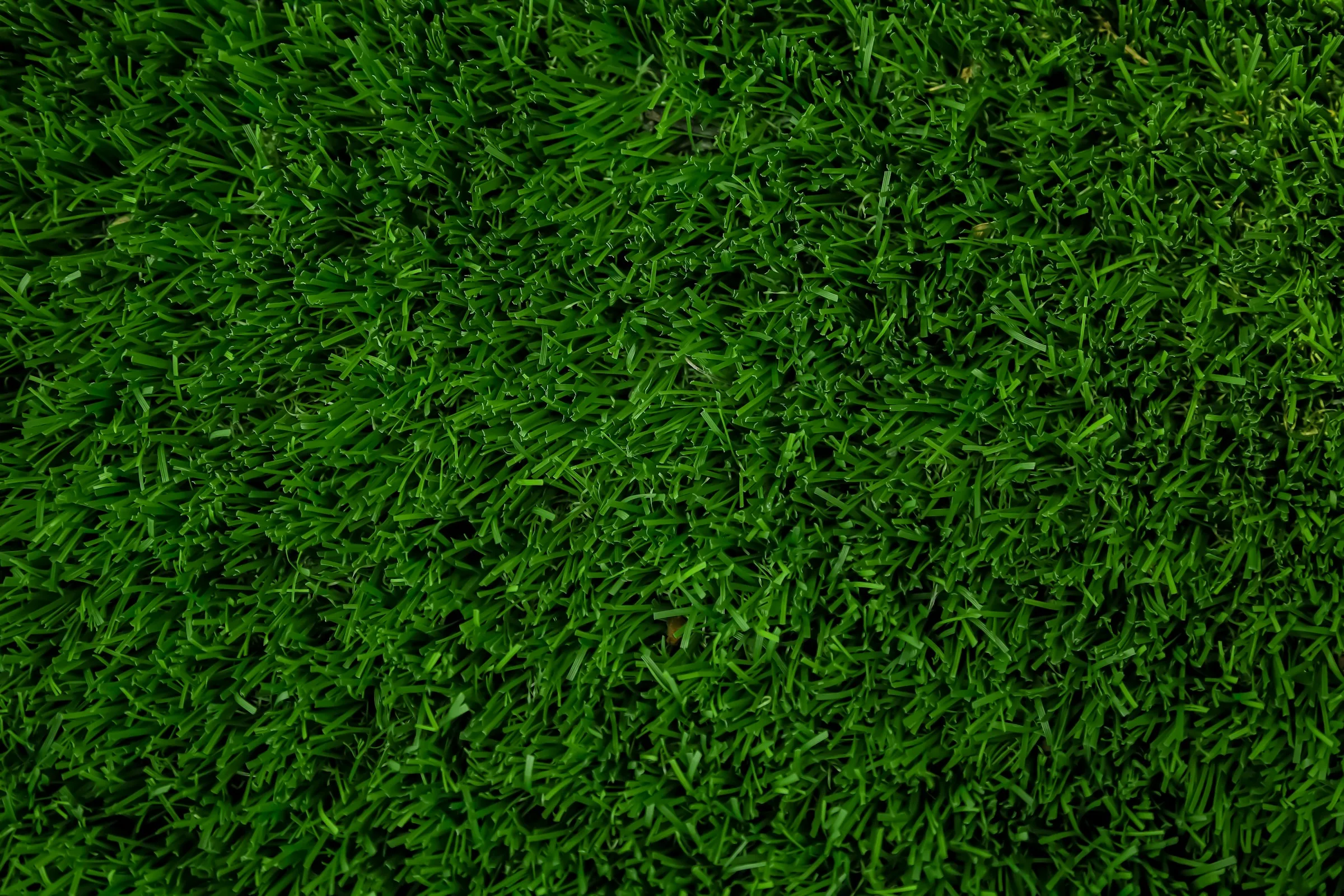 Even green artificial grass surface shown in detail