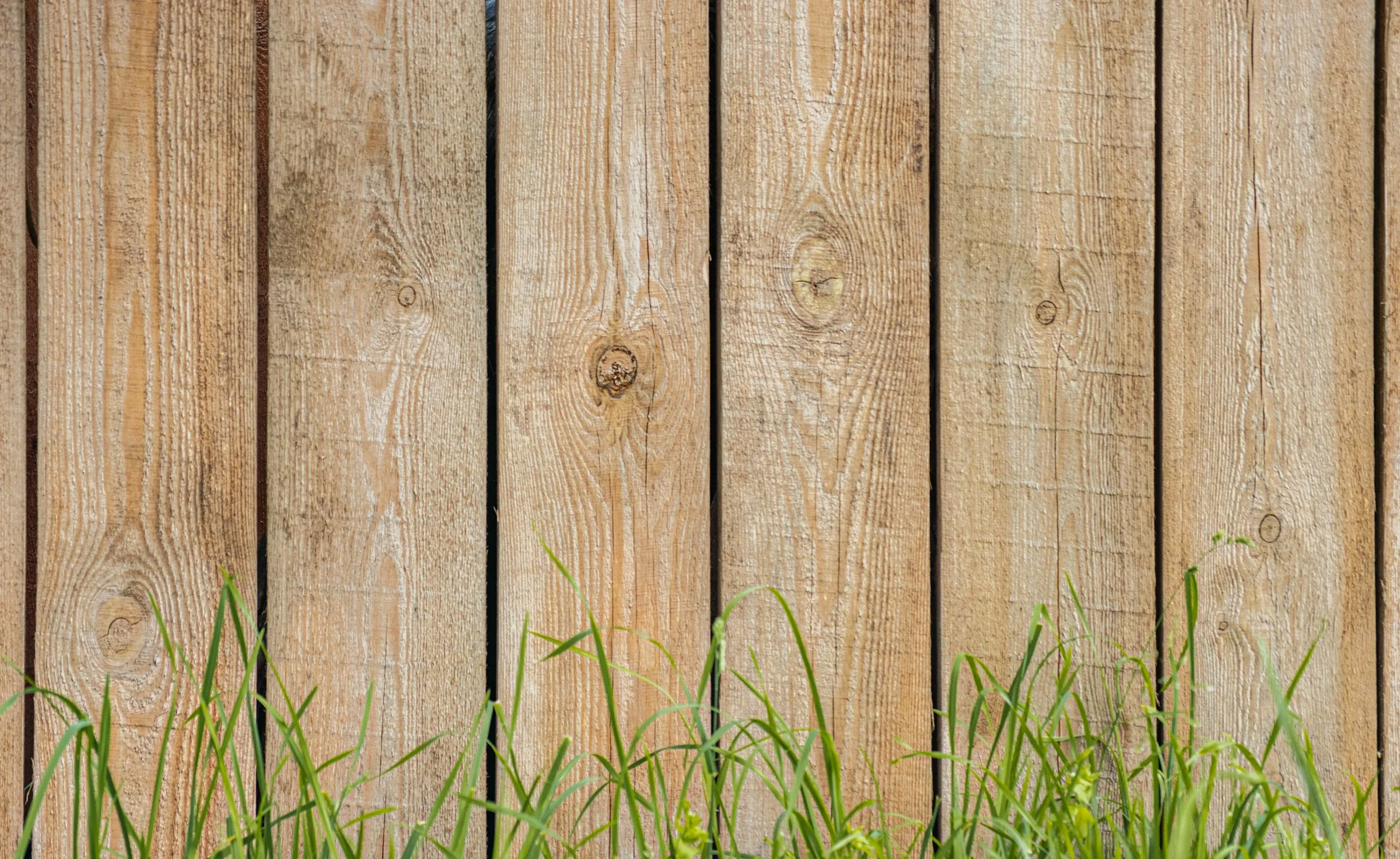 Natural wood privacy fence with clean vertical boards