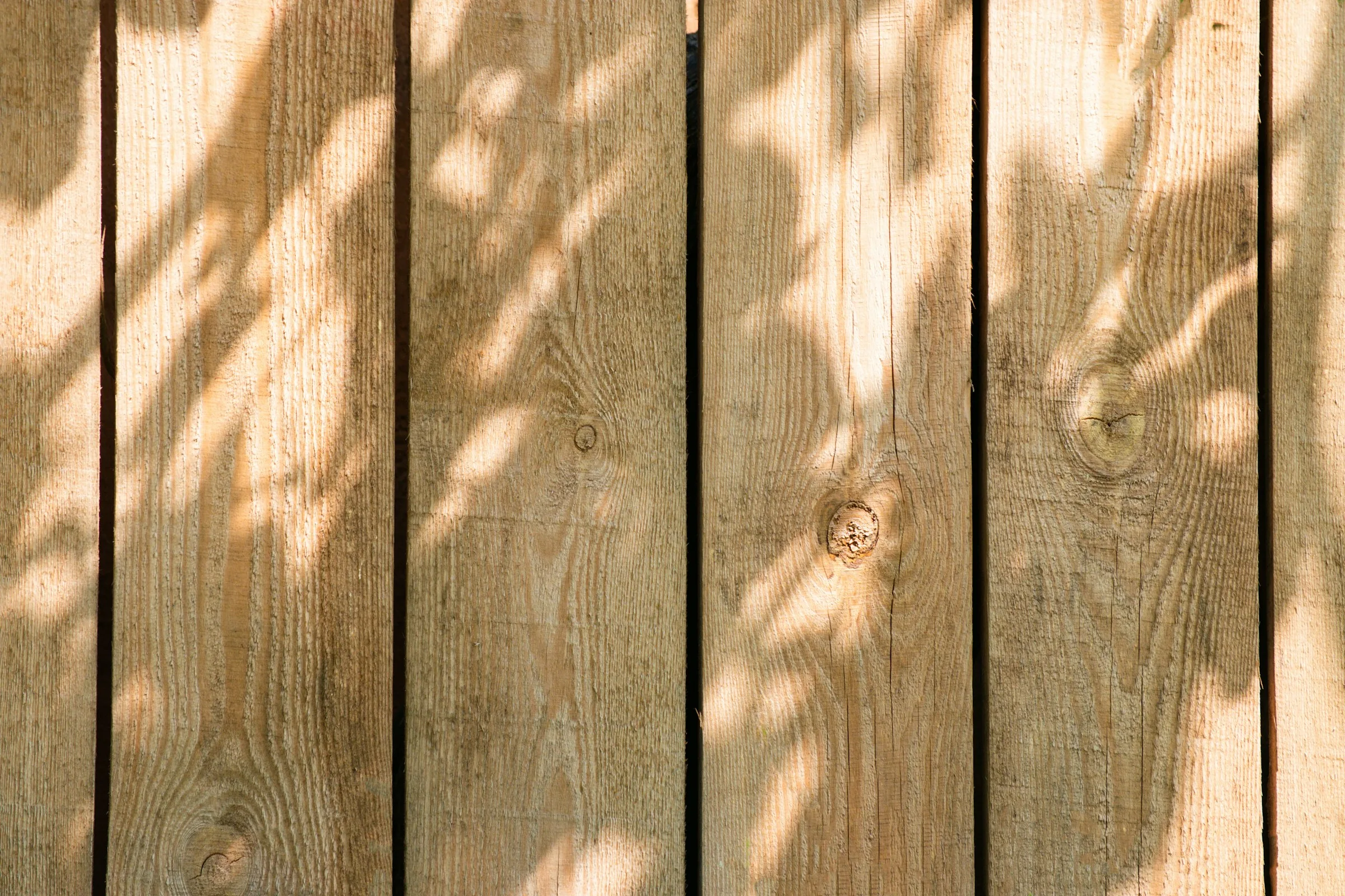 Wood fence boards with warm natural grain and shadows