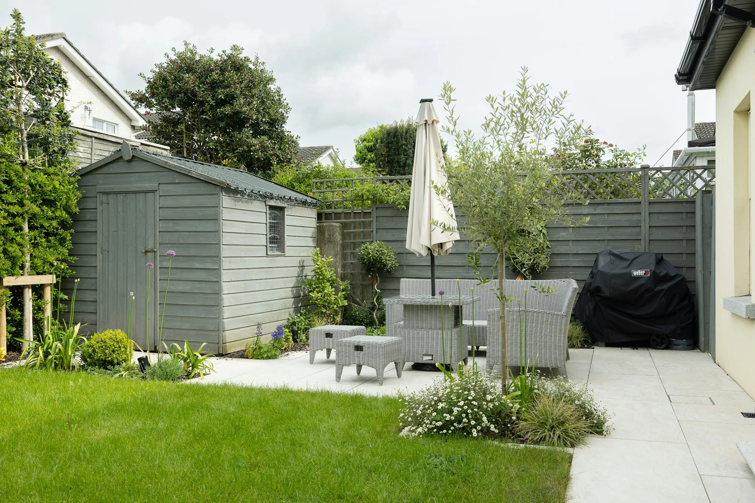 Bright residential backyard combining lawn, patio, and planting