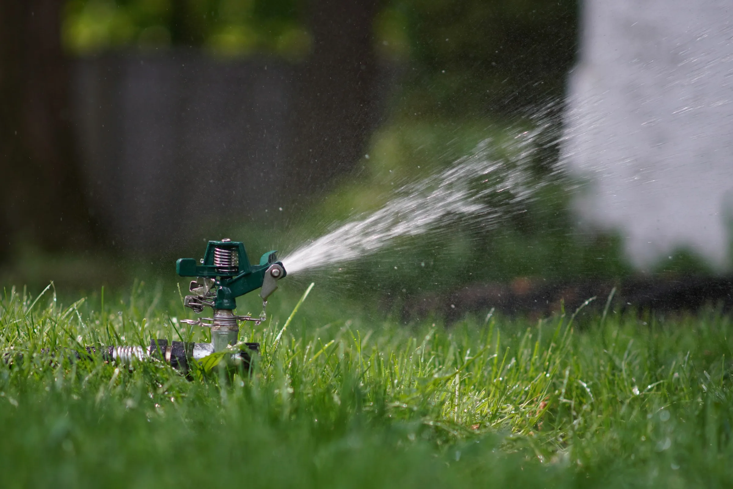 Pop-up sprinkler watering a green residential lawn