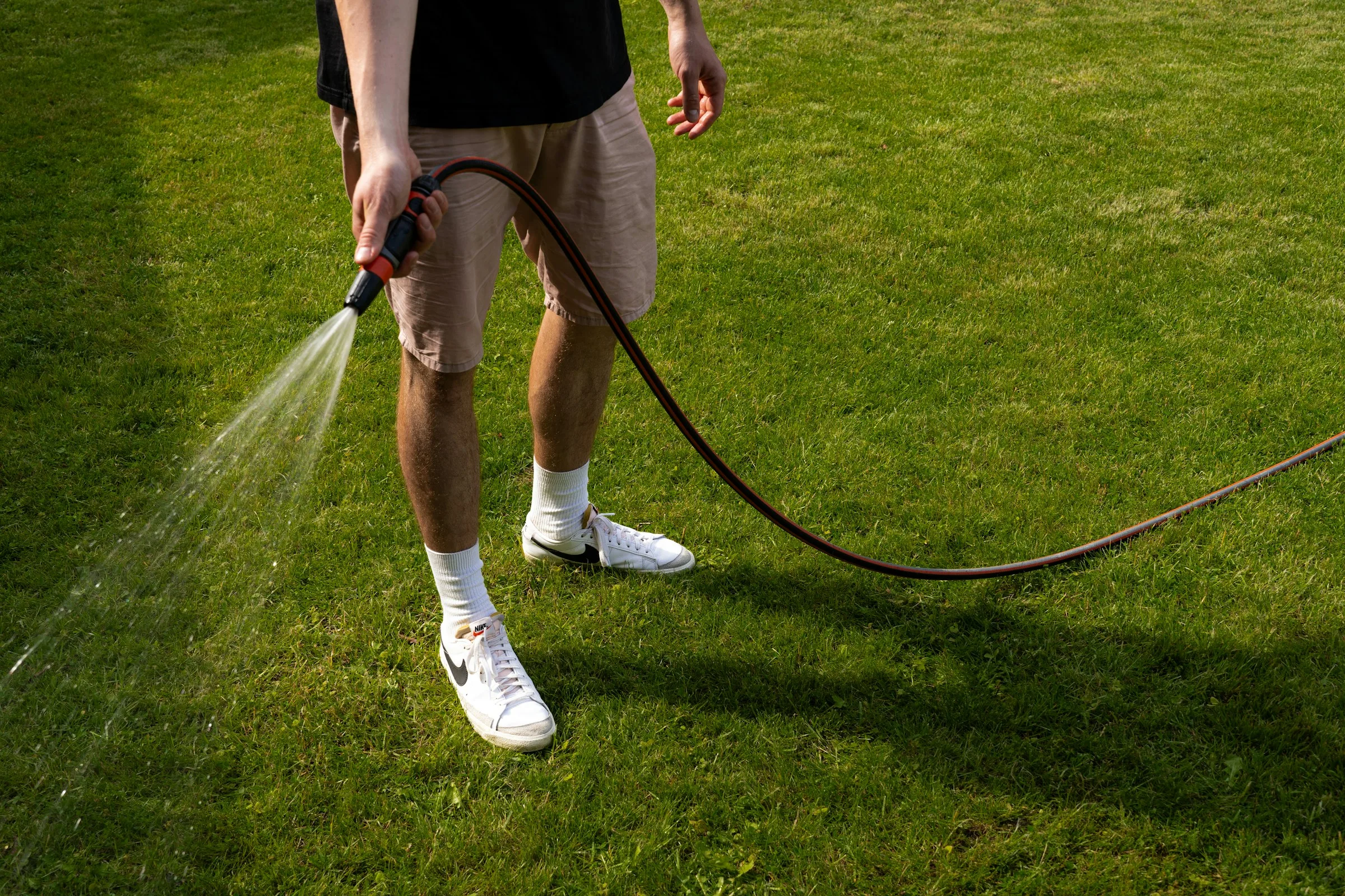 Person watering a garden lawn in warm evening light