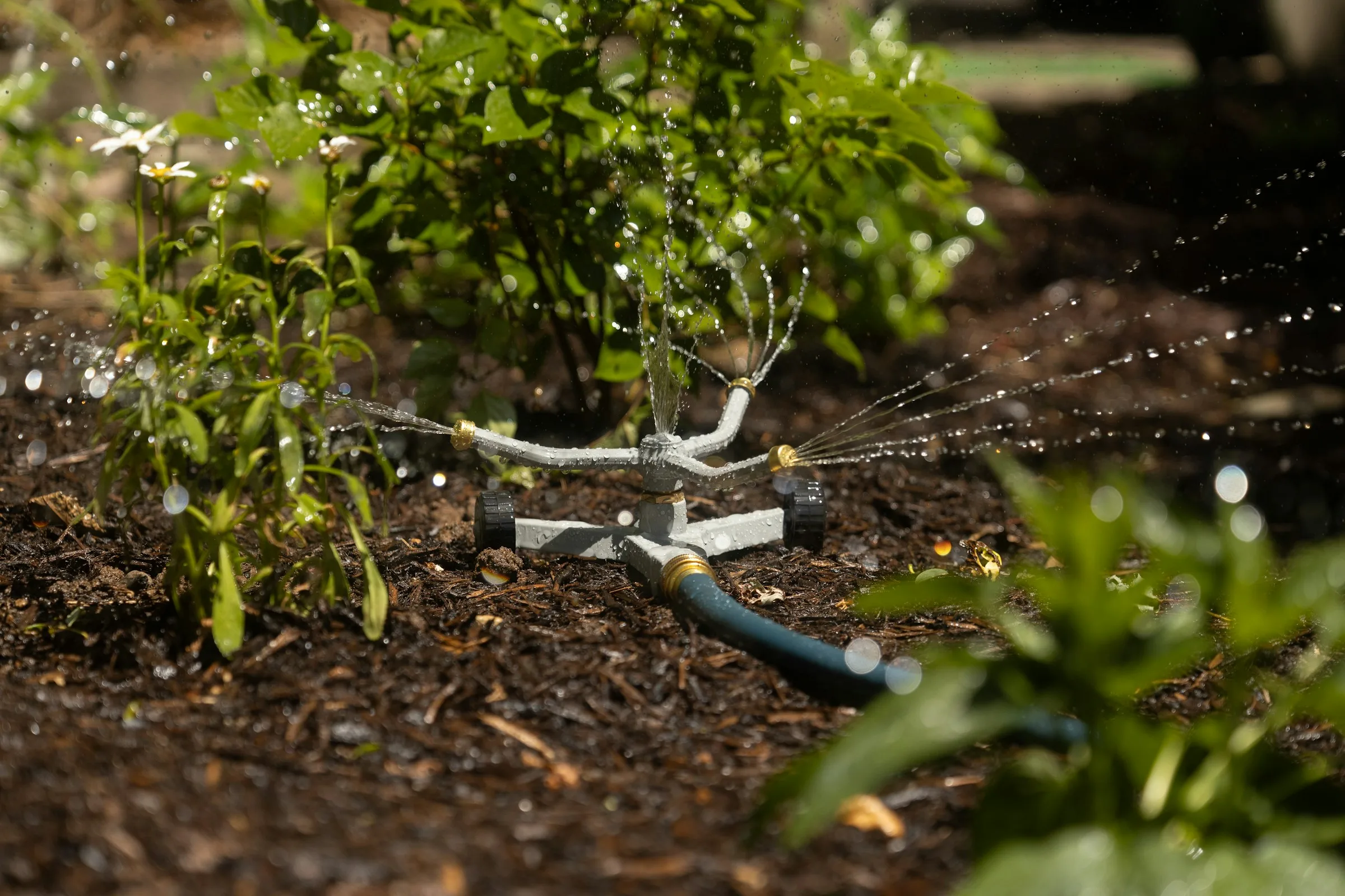 Drip irrigation line delivering water to a garden bed