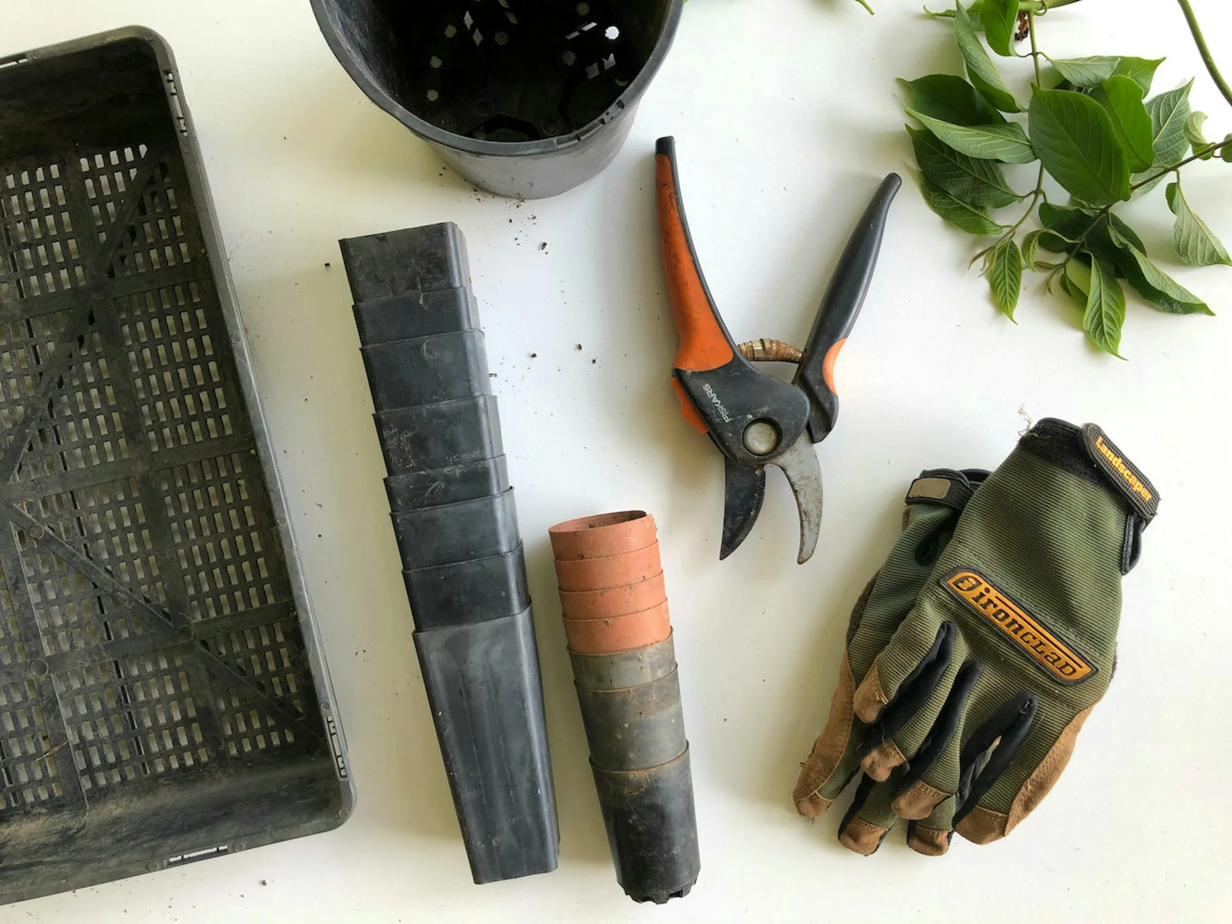 Garden hand tools arranged neatly on a work surface