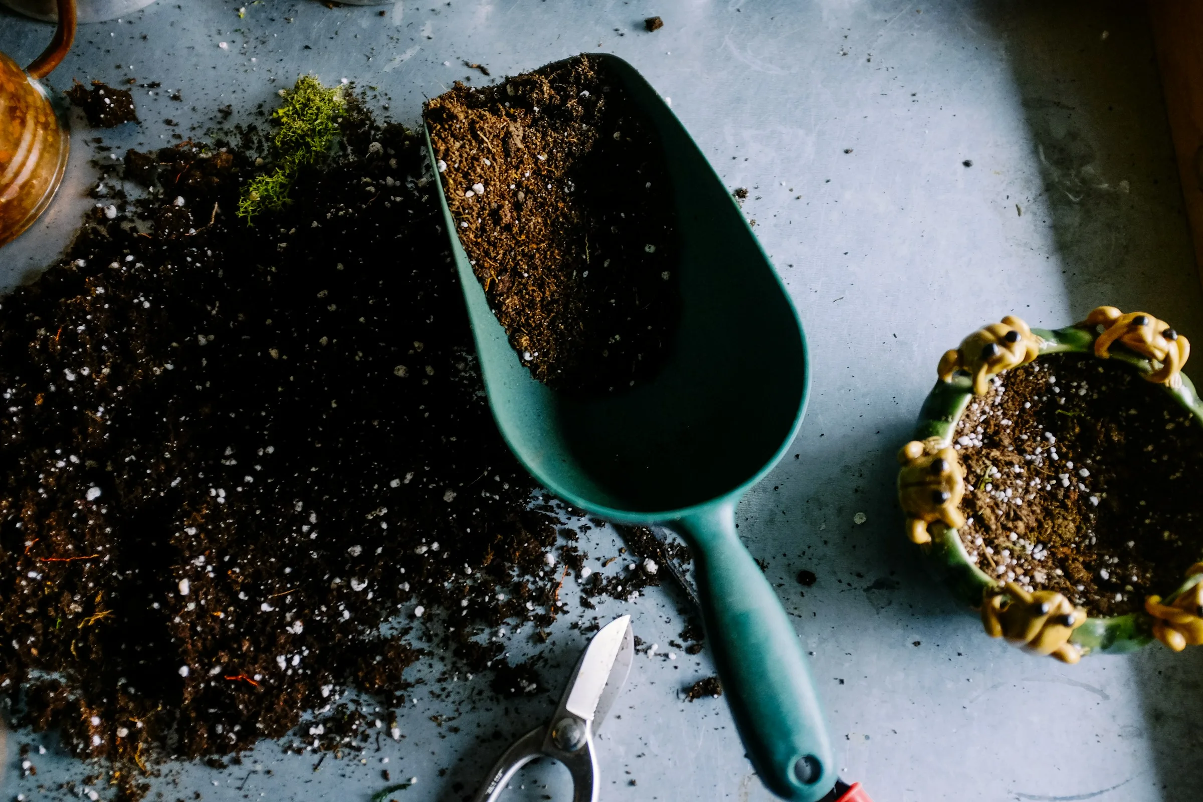 Garden trowel working rich soil beside a plant