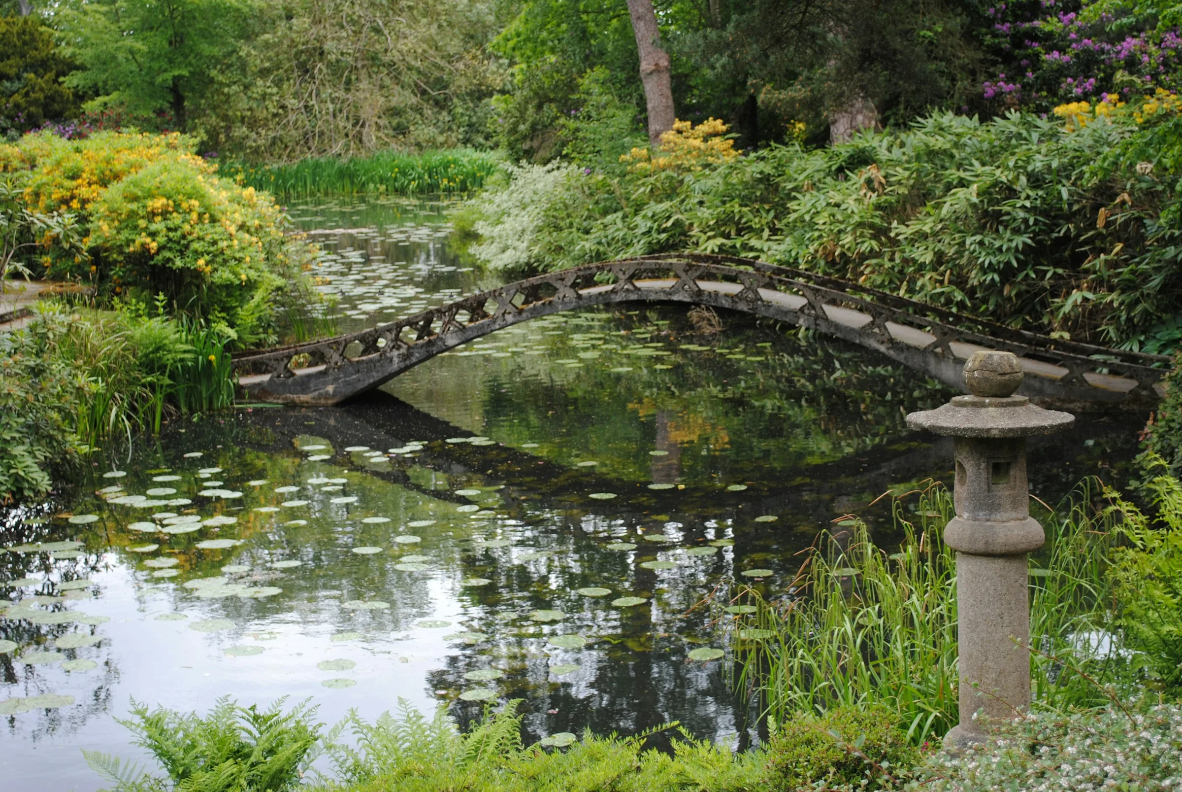 Garden pond crossed by a small wooden footbridge