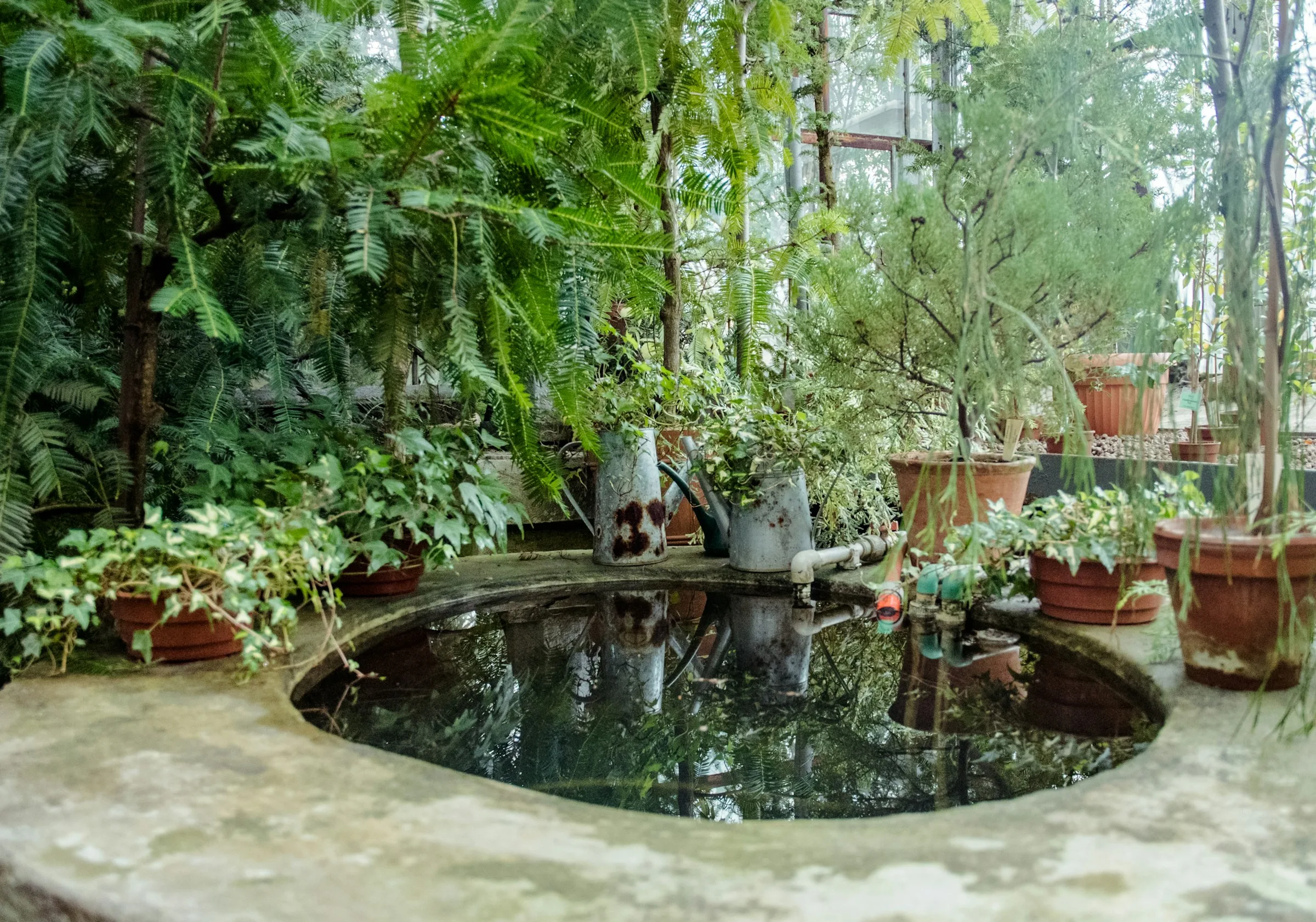 Circular ornamental pond framed by stone and greenery